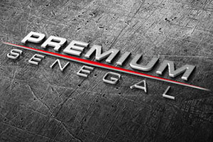 groupe-premium-2013 groupe-premium-2013